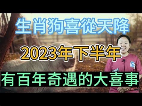 2023屬狗買房|【2023屬狗買房】【2023屬狗買房全攻略】狗年買房旺運攻略，。